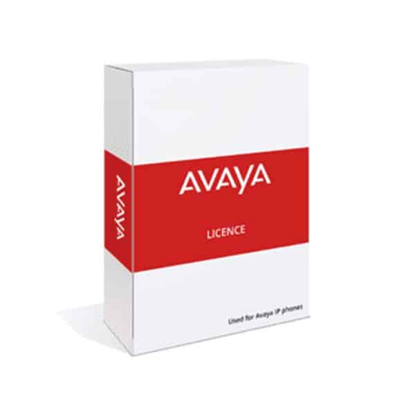 Avaya 171987-License