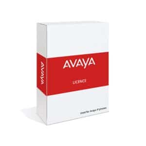 Avaya 386991-License