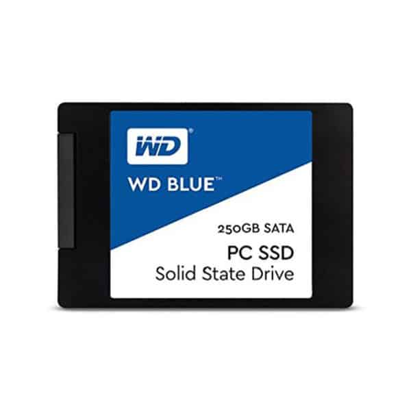 WDS250G1B0A