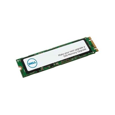 3000052191725 DELL CTO 256GB SATA 12G M.2 SSD